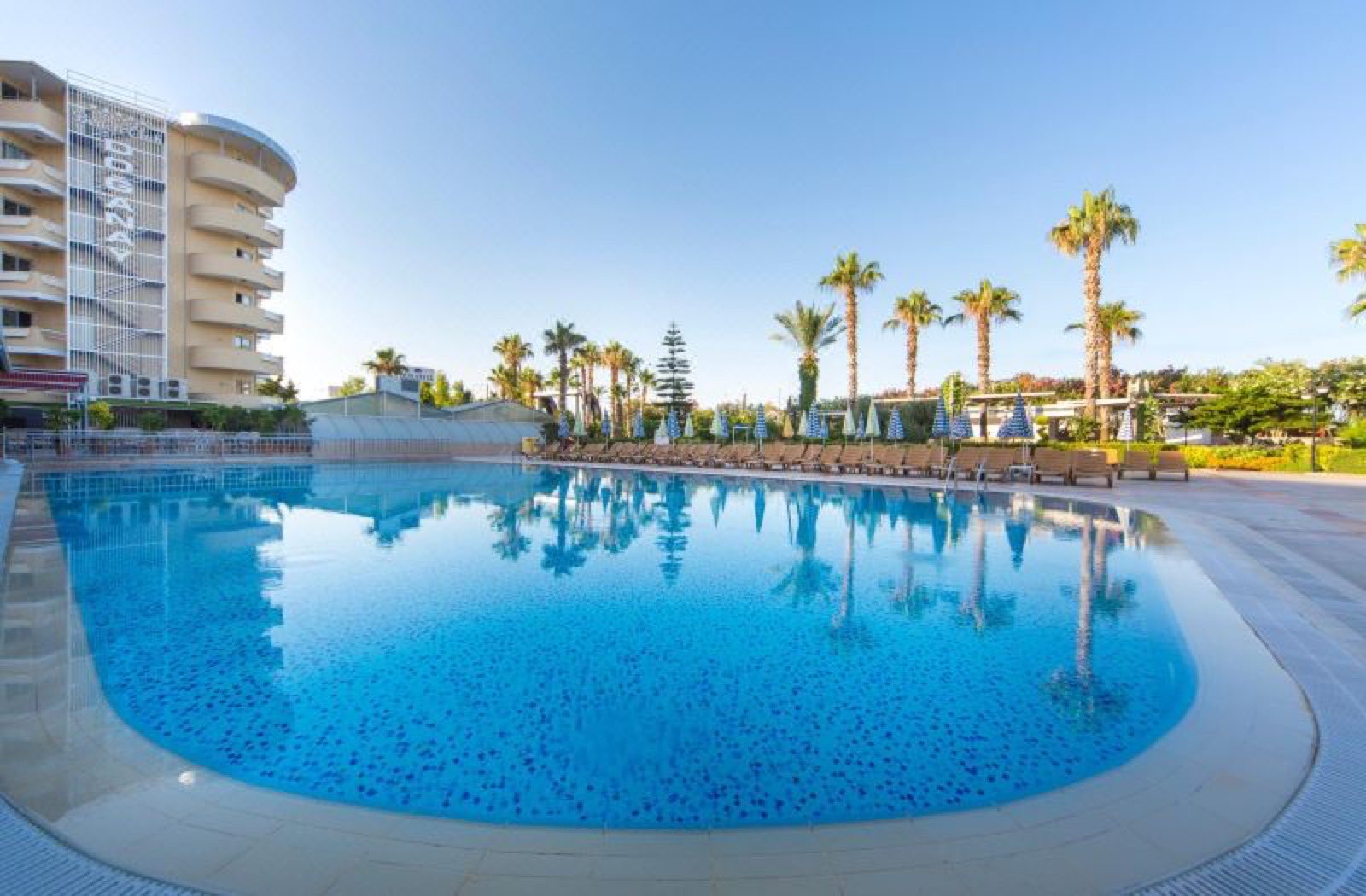 A pool edged with palms