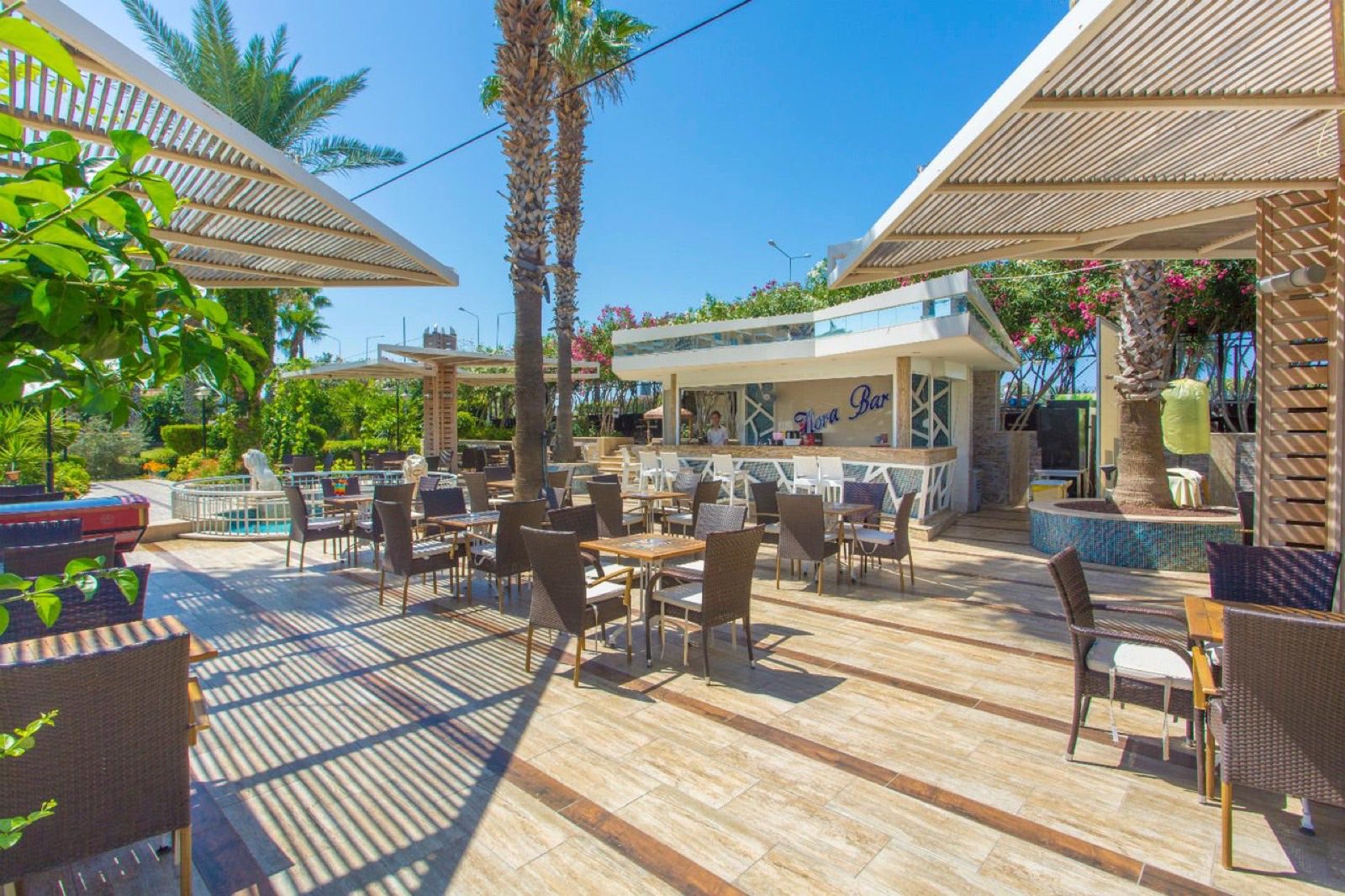 The bar terrace under the palms